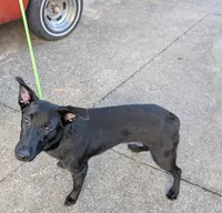 processed/6d760a28-d863-4f8c-8d12-58d137d9f7da/listing/3952274f-17b9-47bd-92e8-4a618a0e9616/30551e22-b4ac-469f-83a8-76e1e1116990