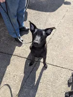 processed/6d760a28-d863-4f8c-8d12-58d137d9f7da/listing/3952274f-17b9-47bd-92e8-4a618a0e9616/392b21e0-7b47-47af-8310-72208b6cd04d