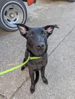 processed/6d760a28-d863-4f8c-8d12-58d137d9f7da/listing/3952274f-17b9-47bd-92e8-4a618a0e9616/9ca44561-16d9-42f9-b1ba-98df211fdb4f