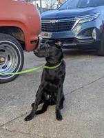 processed/6d760a28-d863-4f8c-8d12-58d137d9f7da/listing/3952274f-17b9-47bd-92e8-4a618a0e9616/adbb077b-f359-4586-a229-a60066fb8a23