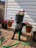 processed/6d760a28-d863-4f8c-8d12-58d137d9f7da/listing/3952274f-17b9-47bd-92e8-4a618a0e9616/cb35614e-40c0-4b1e-b15b-3d532d8e4992