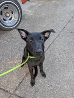 processed/6d760a28-d863-4f8c-8d12-58d137d9f7da/listing/3952274f-17b9-47bd-92e8-4a618a0e9616/d25b188b-4209-423c-9121-9ed0d2a234bd