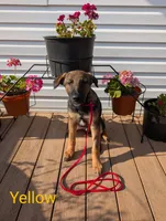 processed/6d760a28-d863-4f8c-8d12-58d137d9f7da/listing/6ce90233-e418-4eca-8e78-fec9f2d4bcf0/60af0274-0e21-4286-926a-8ae09eb34288