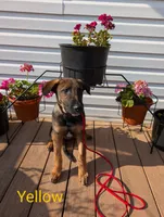 processed/6d760a28-d863-4f8c-8d12-58d137d9f7da/listing/6ce90233-e418-4eca-8e78-fec9f2d4bcf0/9c926168-3aa1-401d-a636-893685a0555c