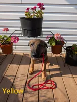 processed/6d760a28-d863-4f8c-8d12-58d137d9f7da/listing/6ce90233-e418-4eca-8e78-fec9f2d4bcf0/9f705830-0b80-4753-b4dd-81c31f908aa4