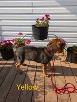 processed/6d760a28-d863-4f8c-8d12-58d137d9f7da/listing/6ce90233-e418-4eca-8e78-fec9f2d4bcf0/ea42a395-0762-4b05-9d9f-f0d0891fc262