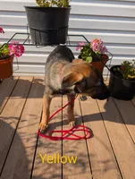 processed/6d760a28-d863-4f8c-8d12-58d137d9f7da/listing/6ce90233-e418-4eca-8e78-fec9f2d4bcf0/f90b1d6c-fe42-4b47-9c77-fef72712c0cf