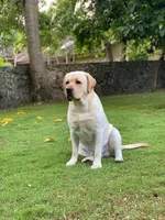 processed/6d87a958-77df-4c97-b424-802960beb70b/listing/9cf3999c-d4ae-441b-9dc3-702cabef2c20/147af62c-2d69-46ec-820d-59b0e83326dc