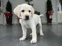 processed/6d87a958-77df-4c97-b424-802960beb70b/listing/9cf3999c-d4ae-441b-9dc3-702cabef2c20/550b213c-ea90-42f2-9e12-2a7083f817a9