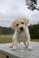 processed/6d87a958-77df-4c97-b424-802960beb70b/listing/9cf3999c-d4ae-441b-9dc3-702cabef2c20/b0014730-5bb2-43ae-8198-1b3ed5bccadb