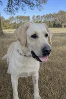 processed/6d87a958-77df-4c97-b424-802960beb70b/listing/9cf3999c-d4ae-441b-9dc3-702cabef2c20/b16f29fd-7267-42d2-8270-f5062a99ab23