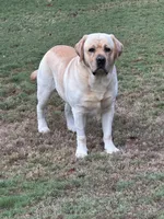 processed/6d87a958-77df-4c97-b424-802960beb70b/listing/9cf3999c-d4ae-441b-9dc3-702cabef2c20/c011f487-8dd0-40ee-a677-4472622b3567