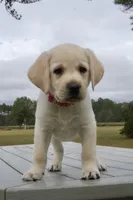 processed/6d87a958-77df-4c97-b424-802960beb70b/listing/9cf3999c-d4ae-441b-9dc3-702cabef2c20/dcd9e165-7242-4e50-ba8c-f6bf3216913f