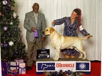 processed/6d87a958-77df-4c97-b424-802960beb70b/listing/b7b844b9-270a-4ea7-9c24-f49b2a6c53de/3a5247f5-033b-4f5c-847d-d84aeaafe787