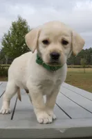 processed/6d87a958-77df-4c97-b424-802960beb70b/listing/b7b844b9-270a-4ea7-9c24-f49b2a6c53de/6335ebdc-7a9b-4d33-97b4-c8d1b339a9a3