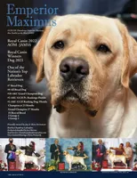 processed/6d87a958-77df-4c97-b424-802960beb70b/listing/b7b844b9-270a-4ea7-9c24-f49b2a6c53de/e39fb6c7-c942-4075-b15f-cc216ed63268