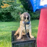 processed/6d8cd844-3551-4778-ae2d-52204fab6cfc/facility/1d00c5e7-38df-4327-b6b0-95e15a6adbe8