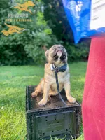 processed/6d8cd844-3551-4778-ae2d-52204fab6cfc/facility/1d00c5e7-38df-4327-b6b0-95e15a6adbe8