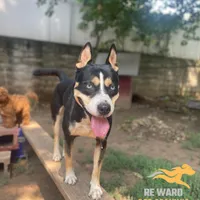 processed/6d8cd844-3551-4778-ae2d-52204fab6cfc/facility/25b7ca60-e2ce-4326-950a-6304970961be