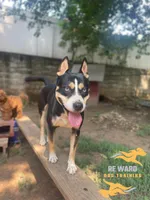 processed/6d8cd844-3551-4778-ae2d-52204fab6cfc/facility/25b7ca60-e2ce-4326-950a-6304970961be