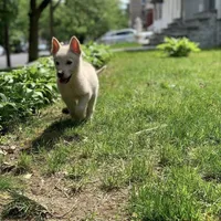 processed/6d8cd844-3551-4778-ae2d-52204fab6cfc/facility/4f795a9c-002d-4e3b-abce-78e43c7eb915