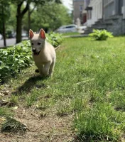 processed/6d8cd844-3551-4778-ae2d-52204fab6cfc/facility/4f795a9c-002d-4e3b-abce-78e43c7eb915