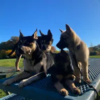 processed/6d8cd844-3551-4778-ae2d-52204fab6cfc/facility/6bb4d9e3-8251-46fd-8cef-4f9f0a4f5758