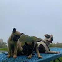 processed/6d8cd844-3551-4778-ae2d-52204fab6cfc/facility/7575ed3f-1669-43ff-b8c3-c2f5f823b0e4