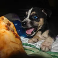 processed/6d8cd844-3551-4778-ae2d-52204fab6cfc/facility/99fedb74-aa1d-4d71-9dd1-38f09a968ec0