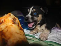 processed/6d8cd844-3551-4778-ae2d-52204fab6cfc/facility/99fedb74-aa1d-4d71-9dd1-38f09a968ec0