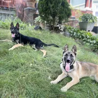 processed/6d8cd844-3551-4778-ae2d-52204fab6cfc/facility/9e666fbc-f2f9-4773-80c9-b3c0d82508af