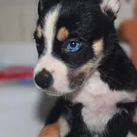 processed/6d8cd844-3551-4778-ae2d-52204fab6cfc/facility/aafedb0a-e4dc-4c58-a01d-fc0623d537d8