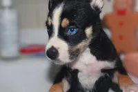 processed/6d8cd844-3551-4778-ae2d-52204fab6cfc/facility/aafedb0a-e4dc-4c58-a01d-fc0623d537d8