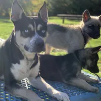 processed/6d8cd844-3551-4778-ae2d-52204fab6cfc/facility/d108fbb6-c541-4e6b-9fed-6261c4032a58