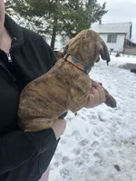 processed/6d940657-db10-4686-a2c0-c6da1fedb27f/listing/07baa773-a06a-43c5-afce-2c9d704acf88/de94d401-21b4-4a01-959d-92679d9b1970