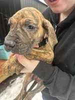 processed/6d940657-db10-4686-a2c0-c6da1fedb27f/listing/07baa773-a06a-43c5-afce-2c9d704acf88/e172ff37-5519-4848-a6f6-e8f18caa92eb