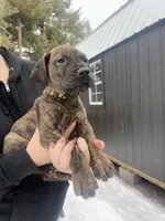 processed/6d940657-db10-4686-a2c0-c6da1fedb27f/listing/26ef5732-9ac5-4f51-891f-a813bcaafefa/36e81757-9062-4b9a-9bd5-6b2955c6c44c