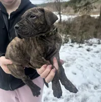 processed/6d940657-db10-4686-a2c0-c6da1fedb27f/listing/26ef5732-9ac5-4f51-891f-a813bcaafefa/75d41007-3336-40cb-b245-471b8a2a347a