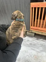 processed/6d940657-db10-4686-a2c0-c6da1fedb27f/listing/58ace093-f88b-4e60-a1ca-137b33b173fb/59982cc9-0a8f-4e14-9cb9-75dfc9d7a1a5