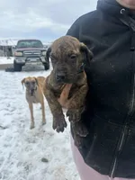 processed/6d940657-db10-4686-a2c0-c6da1fedb27f/listing/58ace093-f88b-4e60-a1ca-137b33b173fb/91fd5997-b1f2-4dc2-939e-d9c6cc5b97c0