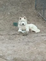 processed/6d976774-23e5-4ed5-9870-e80cc20c68ae/listing/8b1b3911-c446-4b2a-88c1-1ac66c8ece1a/1559f85a-7434-47b8-833c-7b855db0a112