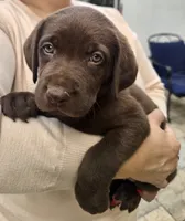 processed/6d9d63b5-3dee-4cba-9a6f-6229d4186be7/listing/fa70e3a1-90ac-4213-8eef-3a60b1add6cf/3d9a6f2f-0f44-4bdc-9c88-292697b2cd5c