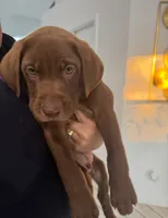 processed/6d9d63b5-3dee-4cba-9a6f-6229d4186be7/listing/fa70e3a1-90ac-4213-8eef-3a60b1add6cf/52206af5-0237-46e3-a62a-769e75af6f6b