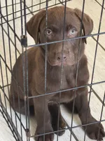 processed/6d9d63b5-3dee-4cba-9a6f-6229d4186be7/listing/fa70e3a1-90ac-4213-8eef-3a60b1add6cf/5b77abe1-51e4-4fff-a64c-d0bd928794b8