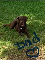 processed/6d9d63b5-3dee-4cba-9a6f-6229d4186be7/listing/fa70e3a1-90ac-4213-8eef-3a60b1add6cf/b41592d3-85f6-4c5c-a4bf-a6fb1113b03a