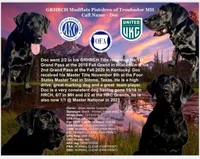 Doc x Soju Litter, a  Labrador Retriever for sale in Topeka, KS – Photo 2 of 6