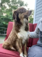 processed/6da0de06-00a8-4a28-9b2b-e06880b827ab/facility/496dead6-a1d6-433d-8422-76fcd9c253ea