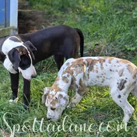 processed/6da1d21f-319c-48d9-958b-e18514df683c/facility/0570802c-792f-4859-bf9e-88805160aa08