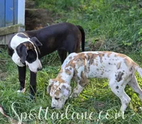 processed/6da1d21f-319c-48d9-958b-e18514df683c/facility/0570802c-792f-4859-bf9e-88805160aa08