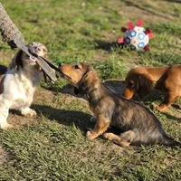 processed/6da1d21f-319c-48d9-958b-e18514df683c/facility/07c6013a-b9cd-487c-868e-bd2894b18ed2